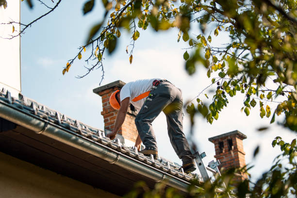 Best Emergency Roof Repair  in Estherville, IA