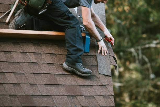 Best Roof Waterproofing Services  in Estherville, IA
